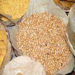 Vraj-Yatra-2014- (990)